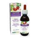Naturalma Hawthorn (Crataegus oxyacantha) Leaf and Flower Bez alkoholu Tinture - 4 fl oz Liquid Extract in Drops - Bylinné doplnky - Vegan