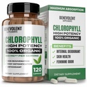 Benevolentné Chlórofyl kapsuly 350 mg - 100% Natural + Ultra Chlorofyl 20x Potency Concentration for Energy Boost, Immune Support, Internal Deodorant, Skin Health, Non-GMO, 120 Kapsule