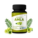 Amla 120 Tablety 