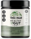 TERRA ORIGIN Zdravý Gut Mint Flavor 