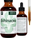 Echinacea 4 fl oz Liquid Extract - Organický Root, Leaf, Kvetina, Semeno - Prírodné bylinné doplnok - Telo, Imunitný systém Podpora Tinktúra - Vysoká potencia kvapky - 90-Deň dodávky - Rodinná veľkosť