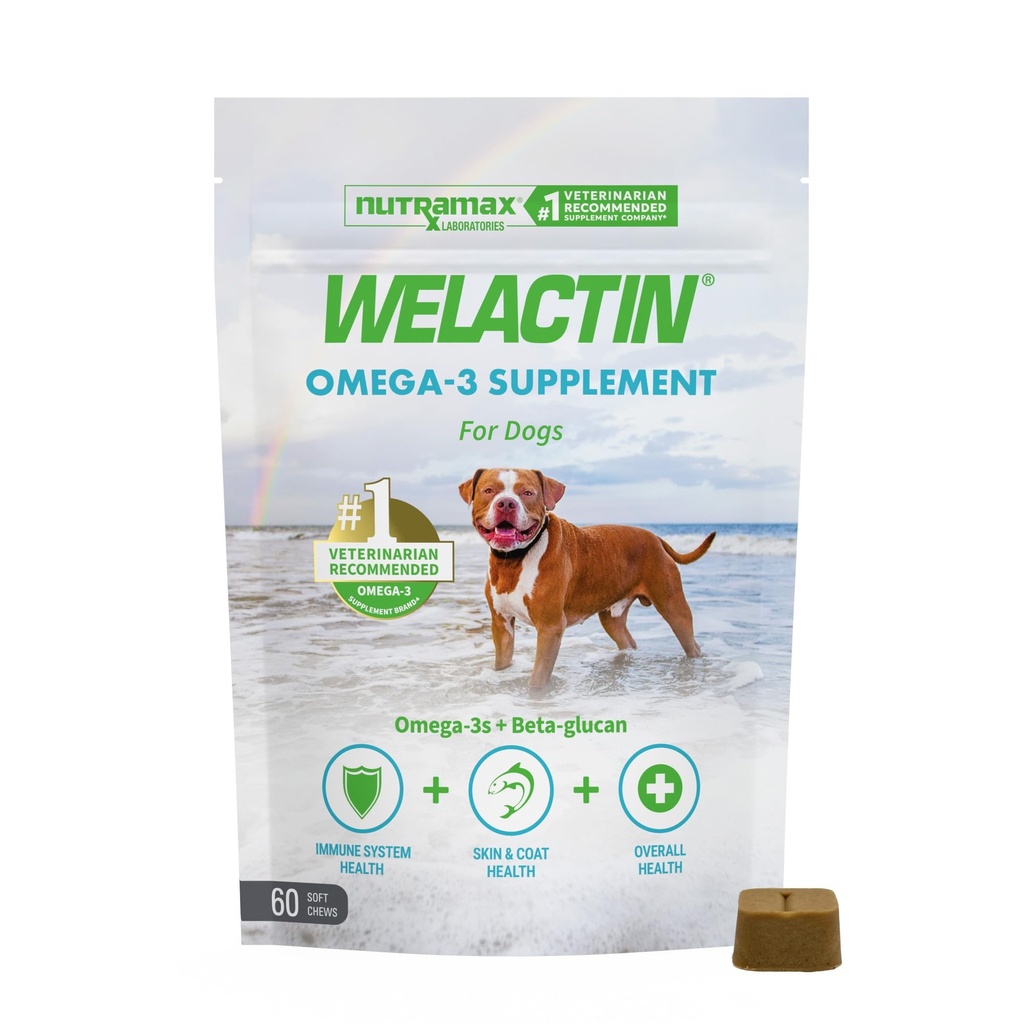 Nutramax Welactin Omega 3 Rybí olej pre psy, kožu a kožu zdravotné doplnky, Plus imunitné a celkové zdravie, Premium Omega 3 mastné kyseliny, Multivitamín pre psy, mäkké žuvačky, 60 Počet