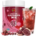 Powder Electrolyte 