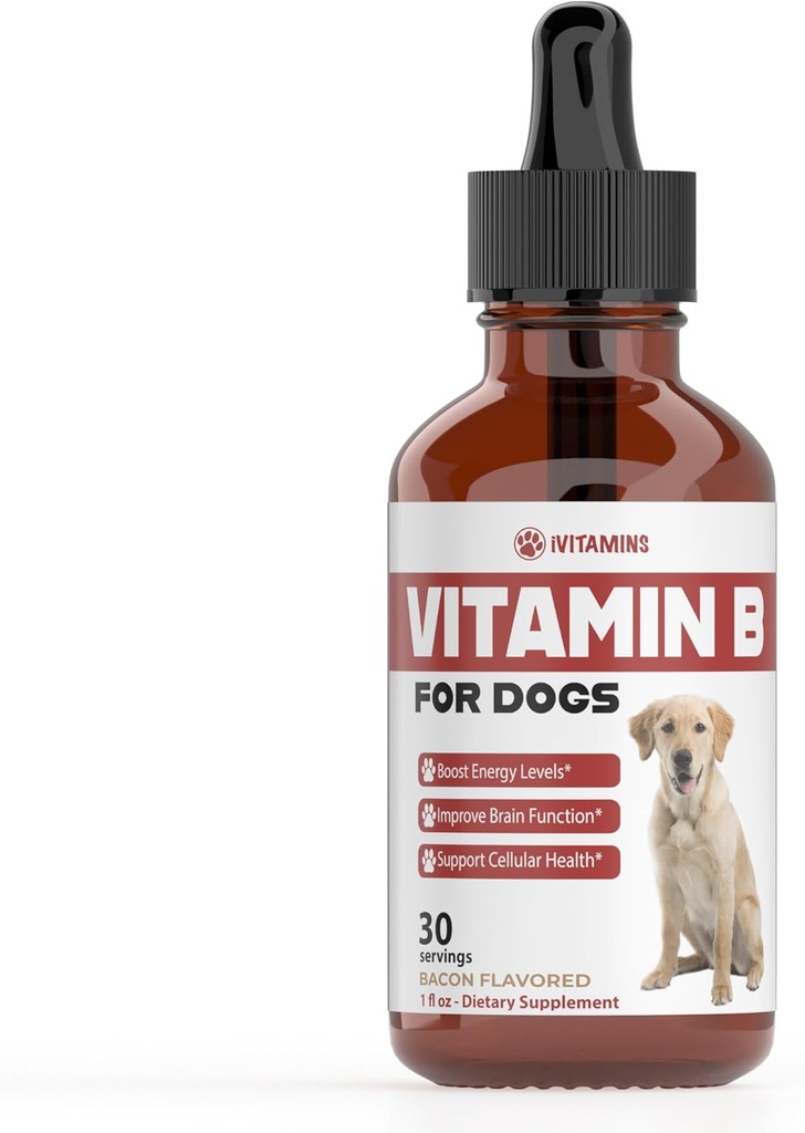 Vitamín B pre psy 