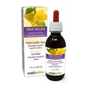 Naturalma Great Mullein alebo Common Mullein (Verbascum thapsus) Kvetina a Leaf Alkohol-Free Tinture - 4 fl oz Tekutý extrakt v kvapkách - Bylinné doplnok - Vegan