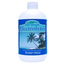 Eidon Electrolytes - Liquid Electrolyte kvapky, Iónové minerály doplnok k pridať do vody, Replenish & Balance The Electrolyte Equilibrium, Hydratácia Podpora, Nesladené bez cukru - 18 oz