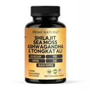 Shilajit 10 000mg, Irish Sea Moss 2000mg, Ashwagandha 3000mg, Tongkat Ali 30 000mg, Boron, Horčík, PQQ & More 