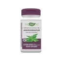 Nature's Way Premium Extract Andrographis, Immune Support*, 300 mg Andrographis Extract per porcie, 60 Kapsule