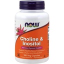 Cholín a Inozitol 500 mg, 100 kapsúl (dávka 2)