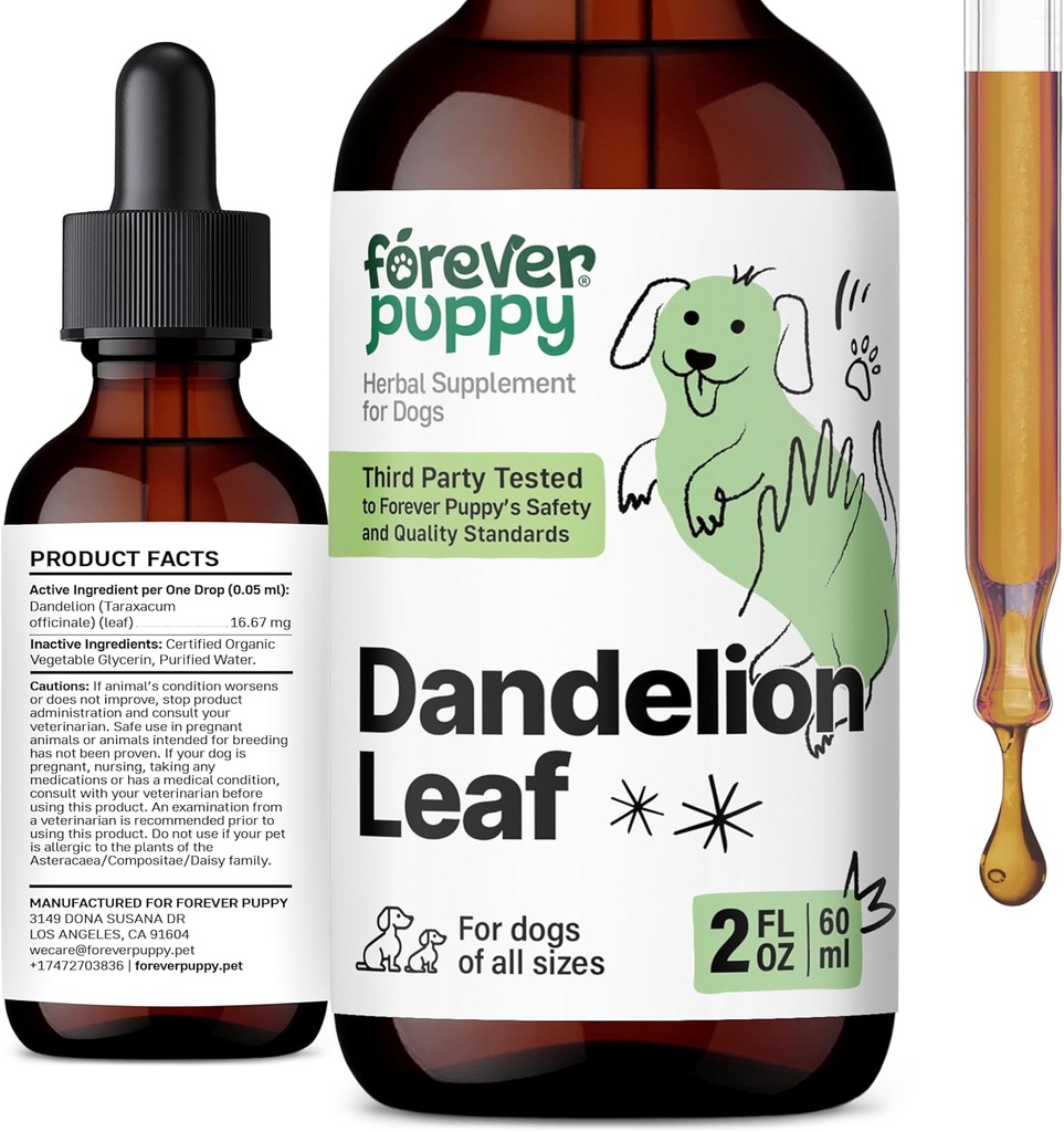 Forever Puppy Dandelion Leaf kvapky pre psy - Obličky Zdravie Liquid Supplement for Large, Medium & Small Dogs - Obličky Cleans Detox Drops w/Dapún Leaves Tincture - 2 oz