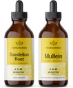 HERBAMAMA Herbal Liquid Drops Kit - Bundle of Dandelion Root a Mullein Leaf Tincture 4 fl oz - Vegan, Non-GMO, Cukor & Bez alkoholu - 2 balenia