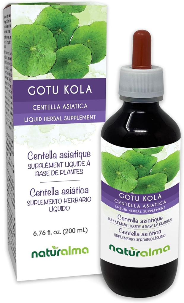 Naturalma Gotu kola (Centella asiatica) bylina Tinktúra bez alkoholu - 6.76 fl oz Tekutý extrakt v kvapkách - Bylinné doplnky - Vegan