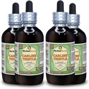 Karolínový bodliak (Carlina acaulis) Glycerit, sušené korene bez obsahu alkoholu Tekutý extrakt (nazývaný brad: HerbalTerra, hrdo vyrobený v USA) 4x4 fl.oz (4x120 ml)
