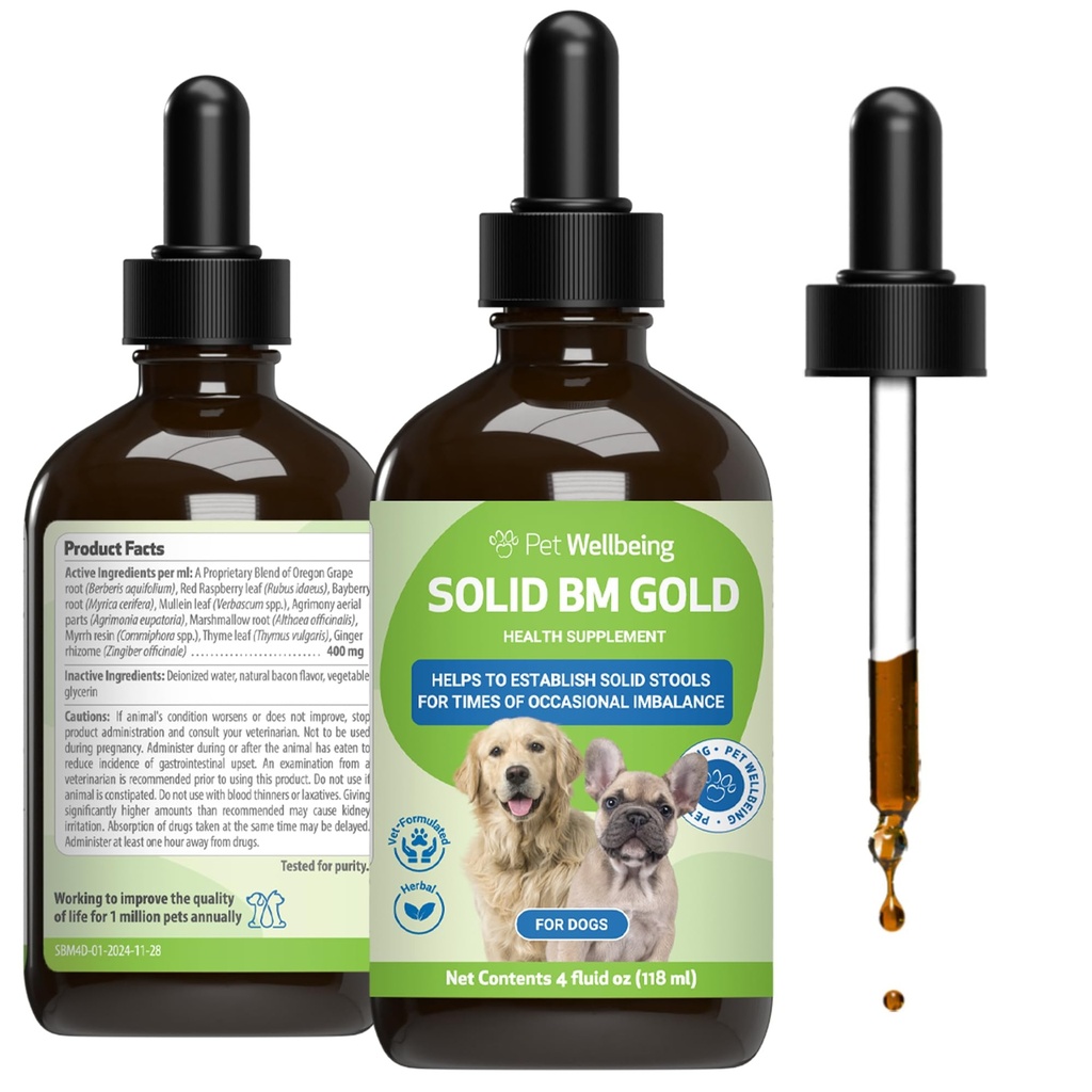 Pet Wellbeing BM Tone-Up zlato pre psy a mačky - podporuje zdravú tráviacu funkciu, pevné nástroje, normálne pohyby čriev, Bayberry - Veterinarian-formulované bylinné doplnok 4 oz (118 ml)