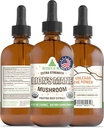 RawGuru Lion's Mane Mushroom Tincture - Vegan Lion's Mane Extract s stopovými minerálmi - Nano-Processed Imunity Boost & Cognitive Supplement - 120 Servings of Vegan Drops per 120 ml, balenie 1