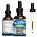 Pet Wellbeing Young at Heart for Cats - Vet-formulované - Zdravie srdca, cirkulačné a kardiovaskulárne systémy, Hawthorn, Motherwort, Schisandra - Bylinné doplnky 2 oz (59 ml)