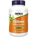 Teraz doplnky, Ojibwa bylinný extrakt 450 mg, Concentrated Blend , Alkohol-free, 4:1 Bylinné extrakty, 180 Veg Kapsule