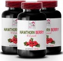 Hawthorn bobule extrakt - HAWTHORN BBERRIES EXTRACT - Hawthorn bobule kapsule, Hawthorn extrakt doplnok, antioxidanty doplnok pre ženy, antioxidanty doplnok pre pokožku 3 Fľaša 180 Kapsule
