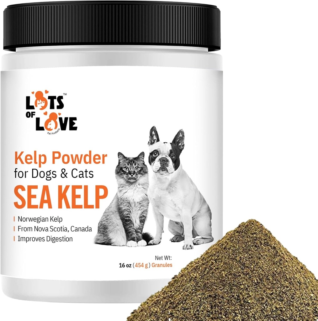 Kelp prášok pre psov a mačky - organické Sea Kelp doplnok Granulát prášok (16 Oz, 1 libra)