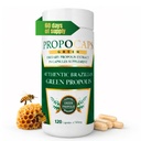 Včela zelená Propolis Kapsule- 100% Green Propolis a Včela Pollen Capsule Supplement- Propolis extrakt, Authentic Brazilian - Certified ISO 22000, Kosher (120 Kapsule)