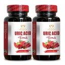 URIC Acid Support - Tart Cherry, Zeler Seed, Turmeric & More, Uric Acid Complex Supplement, Support Healthy Uric Acid Level - 2 Fľaše 120 Kapsule
