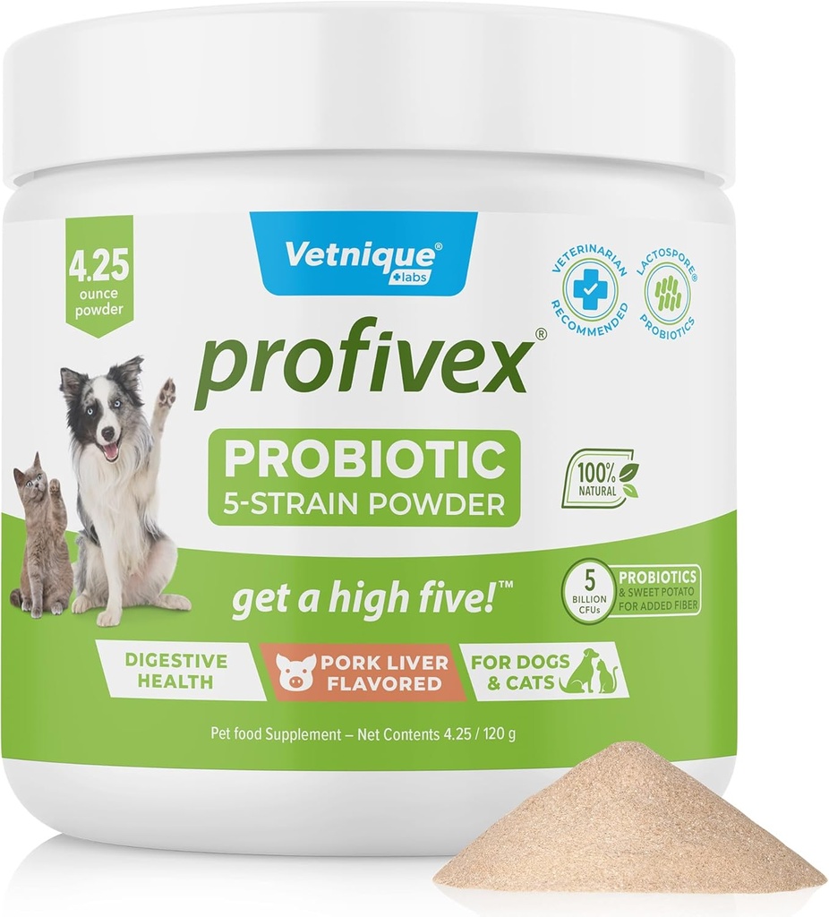 Vetnique Labs Prophenx Probiotiká pre psy Všetky prírodné psie žuvačky a prášok pre tráviace zdravie Probiotické doplnky pre psy 5 Kmene probiotiká a prebiotiká (Powder, 4.25oz)