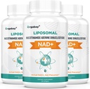 Lipozomálna NAD+ Doplnková dávka 500 mg, vysoká absorpcia, zvýšená hladina NAD+ s TMG 250 mg, skutočná NAD Plus efektívnejšia ako nikotínamid Riboside, podporná bunková energia, zdravé starnutie 180 Softgels