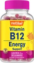WellYeah Vitamín B12 1000mcg Gummy - pre energiu, náladu, metabolizmus a imunitný systém Podpora - Vegan Friendly a Gluten-free, GMO zadarmo a lekár odporúča - 60 Gumies