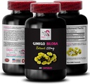 Ginkgo biloba Supplement - Ginkgo BILOBA Extract - Prírodný antioxidant extrakt, bylinné antioxidant podpora, Ginkgo biloba Výhody, Botanický extrakt doplnok, Rastlinné-založené antioxidant 1 Bot 60 Caps