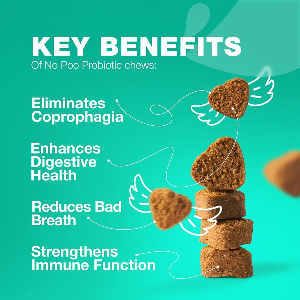 Žiadne Poo Chewables pre psy - enzýmy, psie probiotiká pre tráviace zdravie - Psie trávenie, Gut & Immune Health Supplement