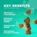Žiadne Poo Chewables pre psy - enzýmy, psie probiotiká pre tráviace zdravie - Psie trávenie, Gut & Immune Health Supplement