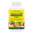 Príroda Plus zdroj života prenatálne - 800 mcg folát, 90 vegetariánske tablety - všetky prírodné prenatálne vitamíny a minerály so železom a vápnikom - optimálne zdravie a energia - bez lepidla - 45 porcií