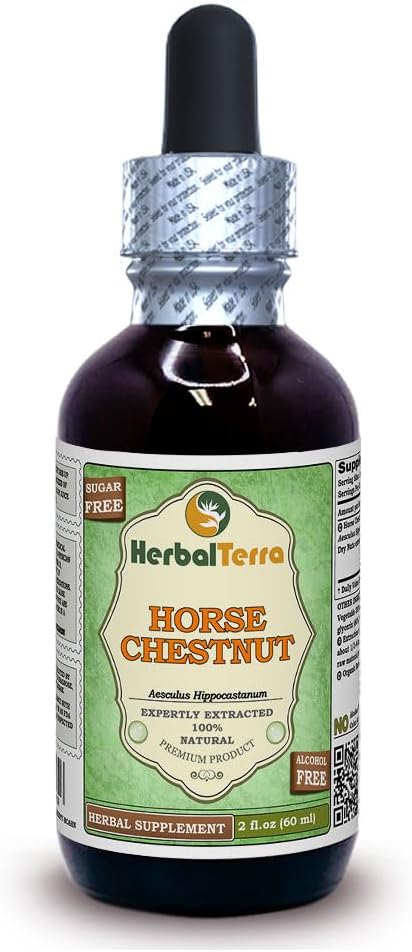 Konský gaštan (Aesculus Hippocastanum) Glycerit, organický sušený Orechy alkohol-FREE tekutý extrakt (nazývaný bradavice: HerbalTerra, hrdo vyrobené v USA) 2 fl.oz (60 ml)