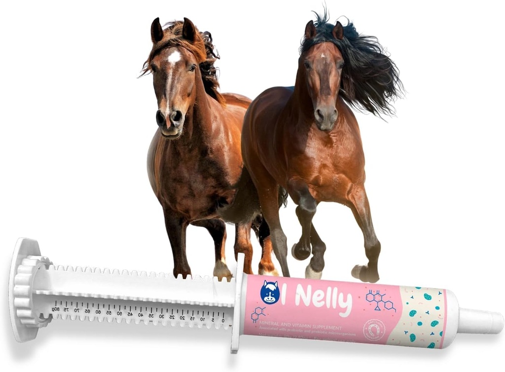 Konské probiotiká (80cc), konská pasta pre a probiotiká +vitamíny a mineraly- 4 kmene a 8 miliárd CFU na obsluhu- immuneal and Gastro Zdravotná podpora Equines