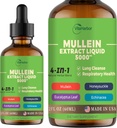 4-v-1 Mullein kvapky pre Pľúca, Organic Mullein Leaf & Honeysuckle & Eucalyptus Leaf & Echinacea Extrakty, pre Pľúcne čistenie, Immune & Respiration Support, Cukor-Free
