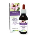 Naturalma Echinacea (Echinacea angustifolia a purpurea) Koreň a bylina bez alkoholu Tinktúra - 4 fl oz Tekutý extrakt v kvapkách - Bylinné doplnky - Vegan