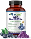 FineLand Wild Blueberry 10:1 Extract, 6,000 mg Sila, 120 Vegan Kapsule, Bohaté na flavonoidy a antokyaníny, Antioxidant Podpora pre zdravie mozgu a srdca, 4-Mesačné zásobovanie, Non-GMO vyrobené v USA