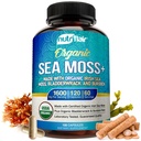 NutriFlair Organic Sea Moss 1600mg, 120 Kapsule Plus Bladderwrack & Burdock - Prebiotic Super Food - Imunitný systém a trávivé zdravie - štítna žľaza, zdravá koža, Keto Detox, Gut