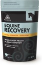 PURICA Equine Kyselina hyalurónová - Konská Spoločná podporná doplnok s glukozamínom, MSM prášok, betaín, horčík, vitamín C a E - zelený čaj a hroznové semená extrakt - Konské dodávky a liečby