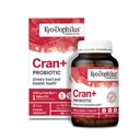 Kyolic Kyo- Dophilus Cran+ Probiotic, Urinary Tract and Bladder Health*, 60 Kapsule