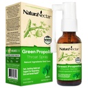 NaturaNectar - Green Propolis Troat Spray - Unikátny, Ukľudňujúca starostlivosť o hrdlo s brazílskou Bee Propolis - Prírodné a nealkoholické starostlivosť o hrdlo Formula z trvalo udržateľného včelárstva (1-Pack, 30ml)