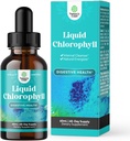 Vegan Liquid Chlorofyl kvapky - Super Concentrated Mint Ochutené Chlorofyl Liquid Drops - Interný čistiaci Dgestive Podpora Immune Health a celé telo Detox a Cleanse Podpora (60 Servis)