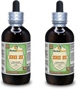 Zhi Zi, Gardenia (Gardenia Jasminoides) Glycerit, organický sušený ovocný tekutý extrakt bez obsahu alkoholu (názov rastliny: bylinný terasa, hrdo vyrobené v USA) 2x4 fl.oz (2x120 ml)