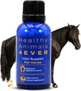 HA4E - Horse Colic Podpora - Znižuje bolesti brucha a žalúdočné problémy - Vysoko účinné, prírodné Homeopatické doplnok - 300 Tablety