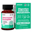 Akkermansia Muciniphila + Probiotic, Postbiotic & Inulin - Gut Health Supplement for Digestion, Immune Support - 10 miliárd CFU, Vegan & Gluten-free
