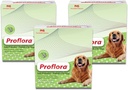 Probiotiká pre psy - Zdravé trávenie - Boost imunitný systém - Normálna funkcia čriev - Skin and Coat Health - Dodatok pre GI Tract - 90 Servings, 3-Pack