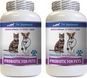 mačka Bad Breath Treaty - PROBIOTICS pre domáce zvieratá - Psy Mačky - Bad Gas a dych Treaty - Advanced Immune Boost - Najlepšie probiotiká pre mačky - 2 fľaše (120 Treats)
