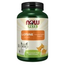 Teraz Pet Health, L-Lysine Supplement, prášok, Formulované pre mačky, NASC Certified, 8-Ounce