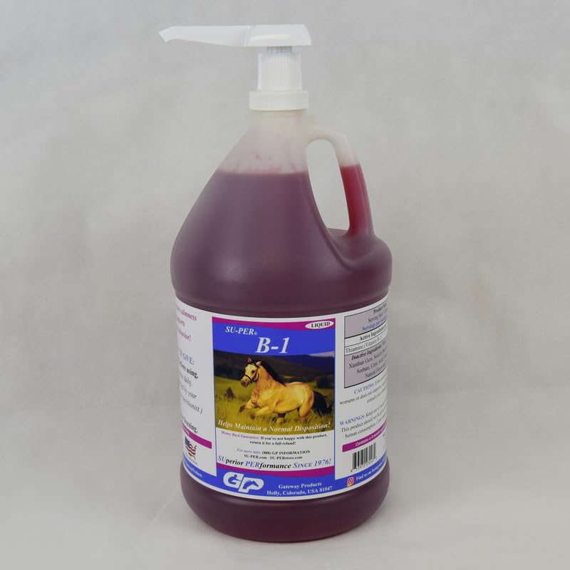 SU-PER B-1 kôň upokojujúci doplnok - Konský vitamín B-1 podpora koní upokojujúce kvapaliny - Apetite Booster doplnok pre kone - 1 Gallon + čerpadlo, 4 mesiace dodávky
