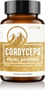 HPD Rx Premium Organic Cordyceps Mushroom Extract Performance Supplement for Energy, Endurance and Immunity | 2250 mg, 120 Capsules, Pack of 1